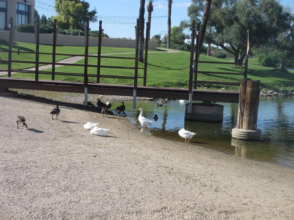 Mccormick Ranch Golf Villa Scottsdale Exteriör bild